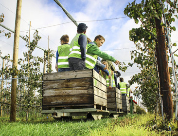 Meer West-Vlaamse leerlingen ontdekken boerenstiel