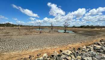 De aarde droogt op: 40% van het landoppervlak in de greep van droogte