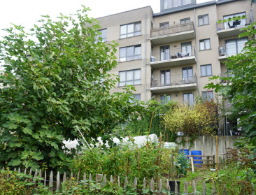 BOS+ lanceert “pop-upbossen” om lokale besturen te overtuigen van meer groen