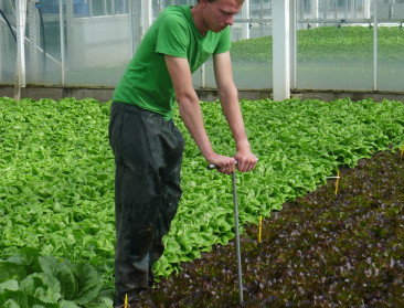 Nitraatresidu als hoeksteen van handhaving mestbeleid