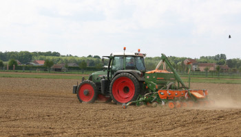 Boeren opgelucht na recente regen: “zaai- en groeiomstandigheden perfect”