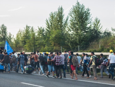 Melkprogramma voor vluchtelingen blijft dode letter