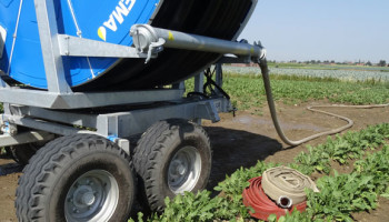 Boerenbond: "Bepaalde teelten extra water geven is noodzakelijk vanwege huidige droogte"