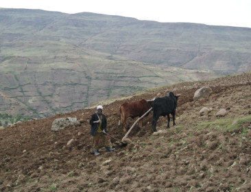 "Ook landbouwers in Zuiden moeten ondernemers worden"