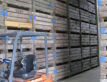 "Kans op harde brexit is zeer reëel"