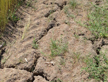 In 2070 is groot deel van wereld onleefbaar warm