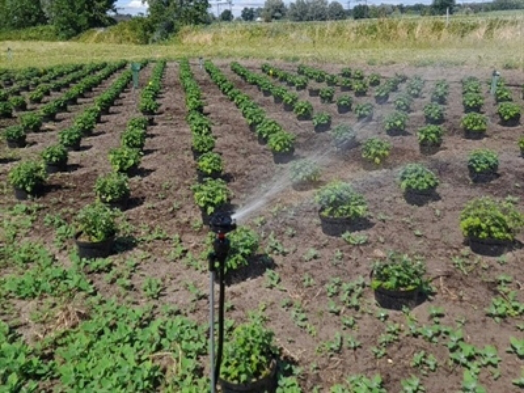 Slotevent OrnAqua en technologiebeurs