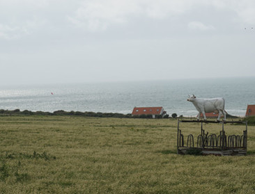 Brexit doet zich nu al voelen in de Belgische export
