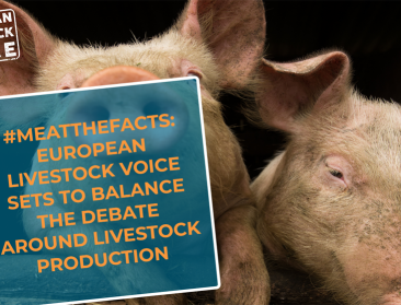 Europese veehouderijsector lanceert informatiehub