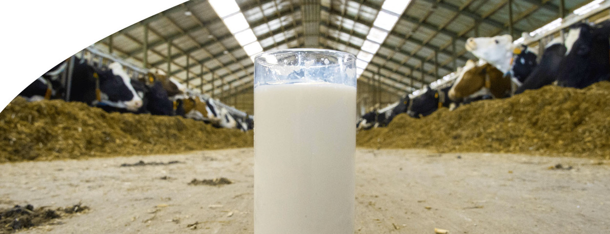 MilkBE_jaarverslag_2021_NL_cover
