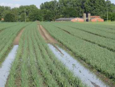 "Scharniermoment voor vergroening landbouwbeleid"