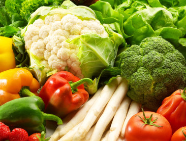 Rusland houdt BelOrta niet van winst in 2014