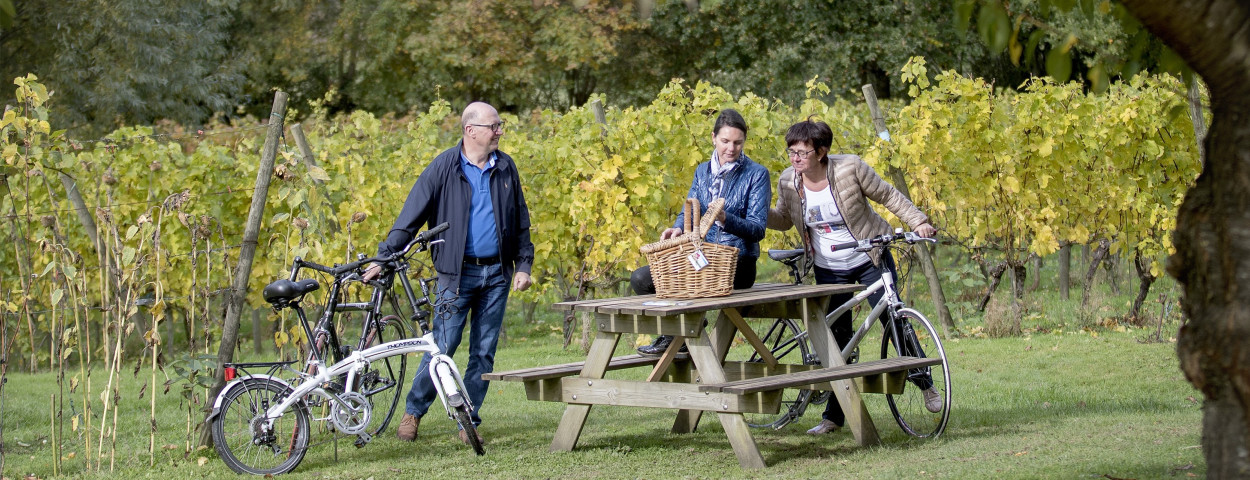 Fietsen en picknicken 1-CopyrightsWesttoer