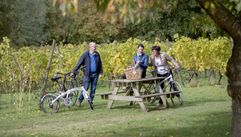 Nieuwe fietsroutes vertellen het verhaal van de landbouw in West-Vlaanderen