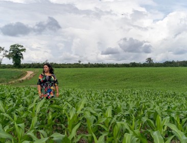 The Polar Project: nieuwe kijk op klimaatverandering