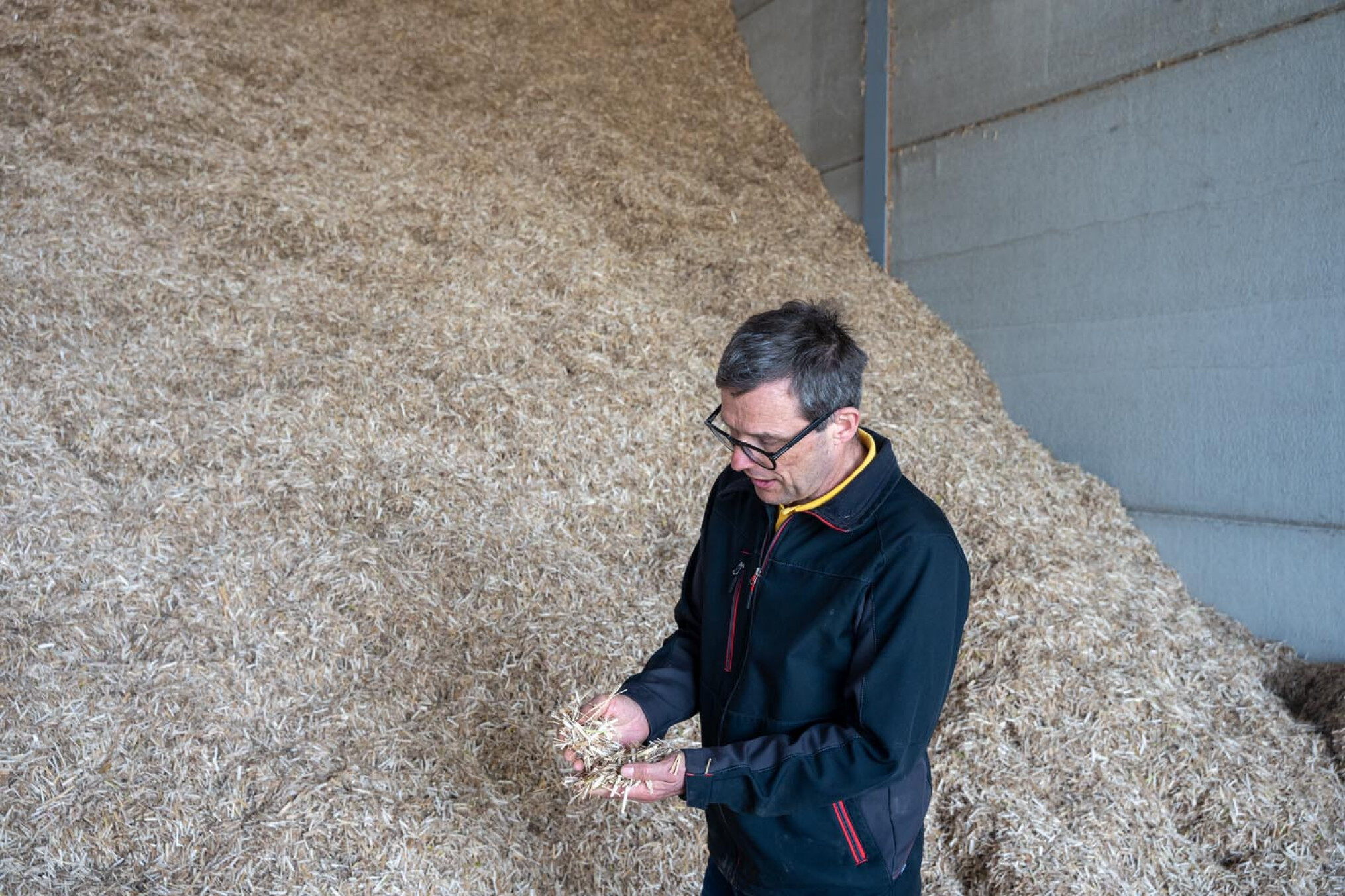 Opslag miscanthus bij Peter Coucke