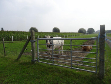 Overheid start volgende week met verzending IHD-brieven