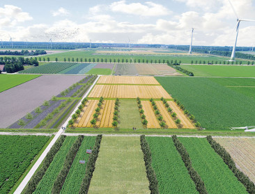 'Boerderij van de Toekomst' focust op kringlooplandbouw