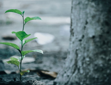 Goed klimaatnieuws: EU op koers om klimaatdoelstelling 2030 te halen