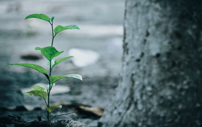 Goed klimaatnieuws: EU op koers om klimaatdoelstelling 2030 te halen