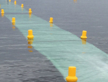 "Noordzee uitermate geschikt voor kweek zeewieren"