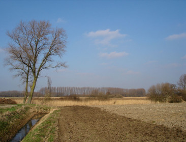Commissie Landbouw eensgezind over bestemming landbouwgrond
