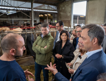 Ook Open Vld komt met Landbouwplan: strijd om landbouwstem is losgebarsten