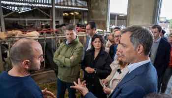 Ook Open Vld komt met Landbouwplan: strijd om landbouwstem is losgebarsten