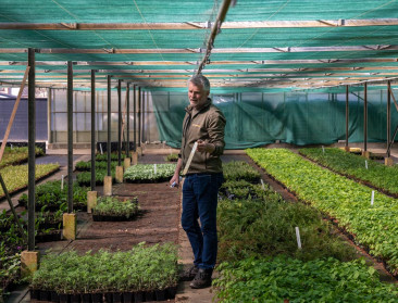 Noord-Limburg ontpopt zich tot sierteeltcluster: “Succes werkt aanstekelijk”