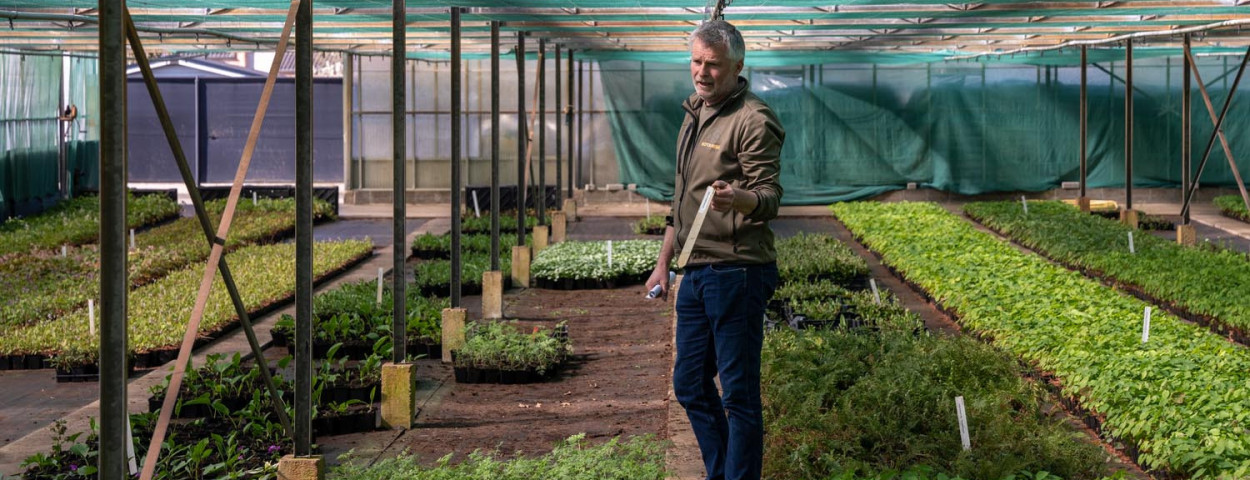 Johan Stessens van vaste plantenkweker Botanisk in Bocholt