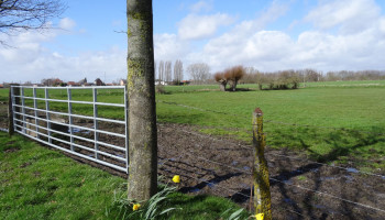 Gemeentebestuur tegen provincie in beroep over bebossingsvergunning in Kortenberg