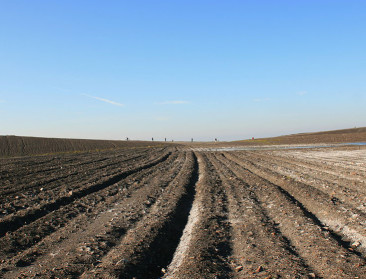 "Verzilting kan ook kans voor landbouw zijn"
