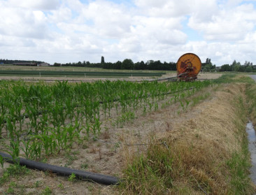 Uit droogteperiode in 2017 komt plan van aanpak voort
