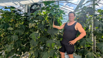 Dag van de Komkommer: "In de zomer ga ik nooit verder dan een kwartier weg van mijn komkommers"