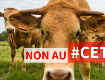 Franse boerenorganisaties houden verzet tegen CETA vol