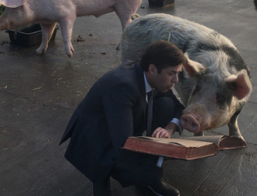 GAIA wil dieren beter beschermen via Grondwet