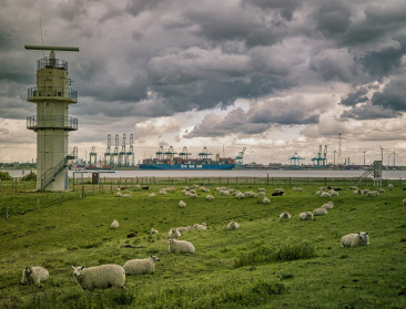 Grenspark Groot Saeftinghe lanceert innovatiesubsidie voor landbouwers