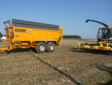 Everzwijnen zijn in oogstperiode een gevaar op de weg