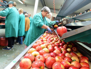 Laagste Europese appelvoorraad sinds 2017