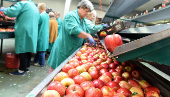 Laagste Europese appelvoorraad sinds 2017