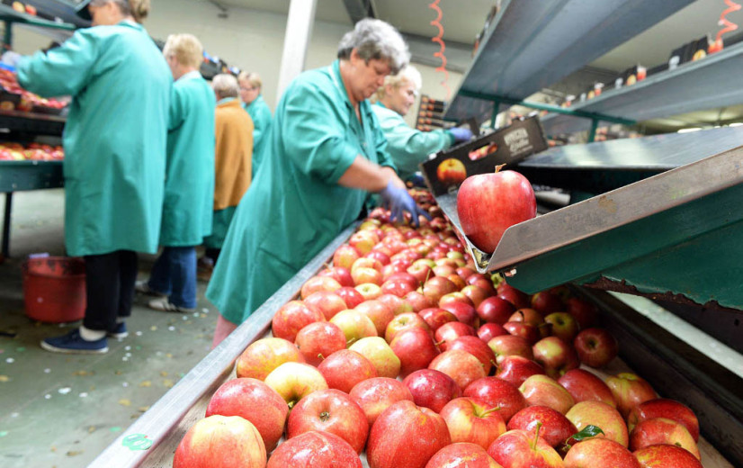 Laagste Europese appelvoorraad sinds 2017