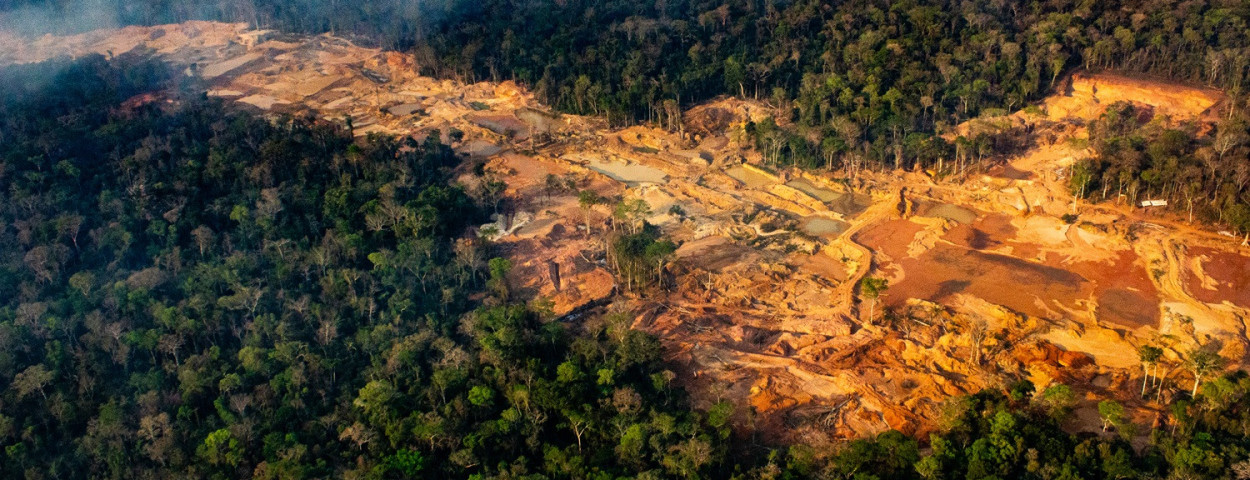 ontbossingbrazilieamazoneregenwoud-GreenpeaceFabioBispo