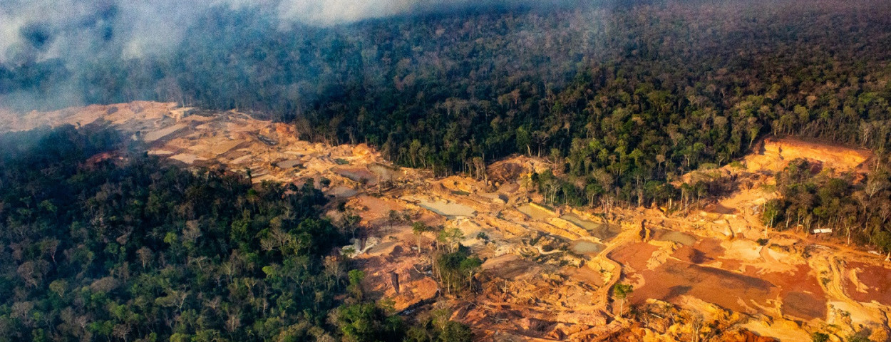 ontbossingbrazilieamazoneregenwoud-GreenpeaceFabioBispo