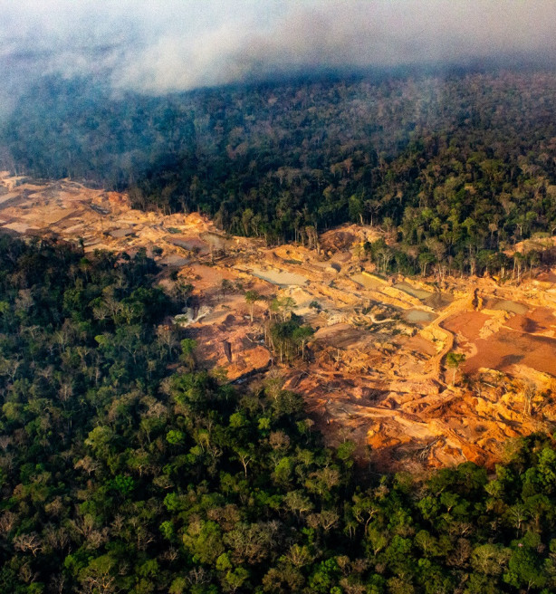 Terwijl Europa investeert in afbouw, neemt Mercosur-veehouderij de vlucht vooruit