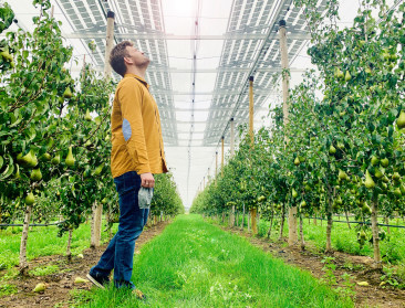 AgroVoltaics wint Febeliec Energy Award