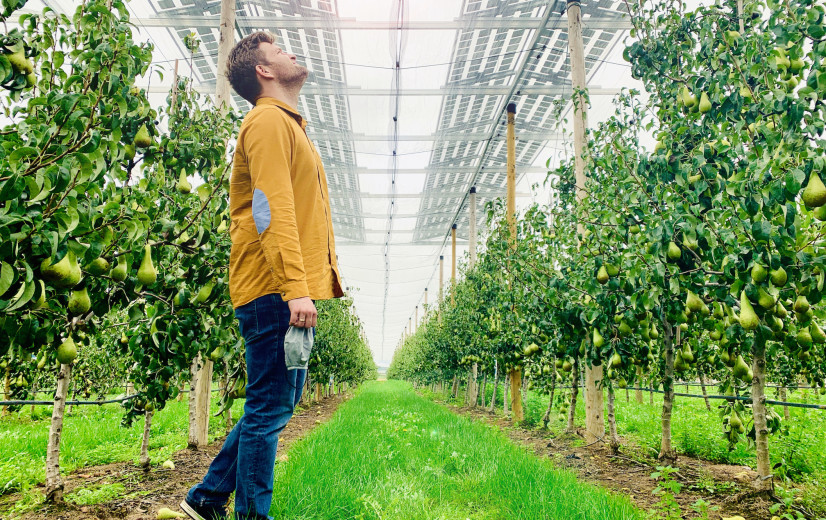 AgroVoltaics wint Febeliec Energy Award