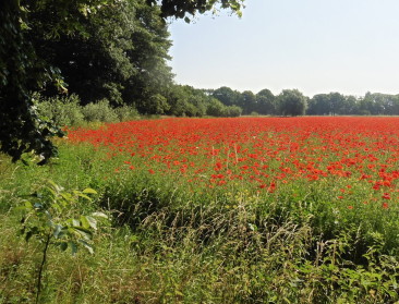Pre-dossier Unesco-bescherming WOI-frontlijn ingediend