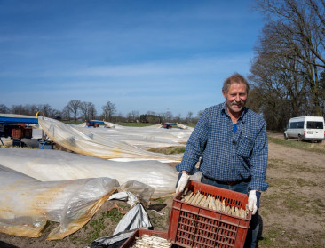 Laat Pasen: “Ideale timing voor start aspergeseizoen”