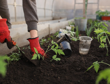 Callcenter geeft tuinliefhebbers advies over het correct gebruik van bestrijdingsmiddelen