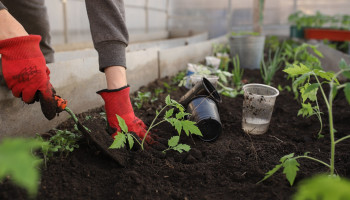 Callcenter geeft tuinliefhebbers advies over het correct gebruik van bestrijdingsmiddelen